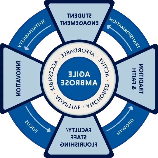 Graphic representing elements of strategic plan, including pillars, process, and areas of focus.